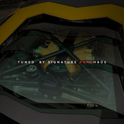 Lamborghini Aventador / S / SVJ Signature Autohaus Tune